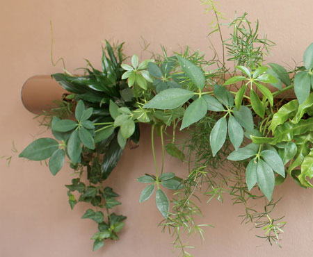 Make a wall-mounted flower container