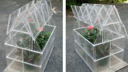 greenhouse with cd cases 