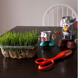 Wheat grass projects for kids 