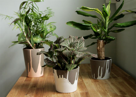 Paint dipped plant pots 