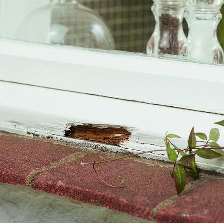 Repair a rotten wood windowsill dremel multi max