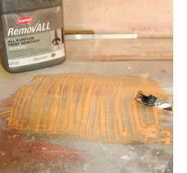 Putting Plascon RemovALL to the test