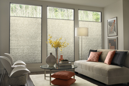 Decorate with window treatments