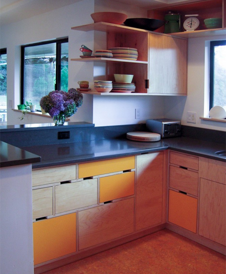 HOME DZINE Kitchen | Plywood kitchen designs
