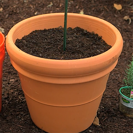fill the plant pot with potting soil for your kitchen herb tower