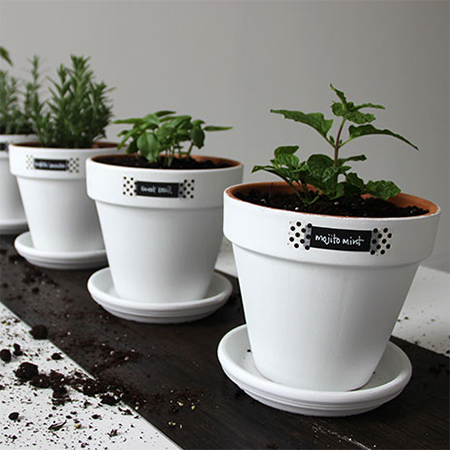 painted pots with rust-oleum for indoor herb garden
