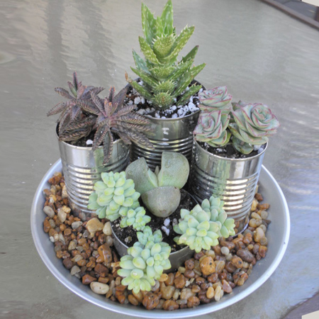 Best recycled can ideas succulent plant pots