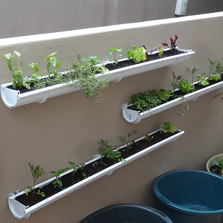 make build wall mounted vegetable or herb gutter garden
