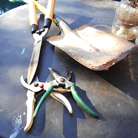 clean restore and sharpen garden tools
