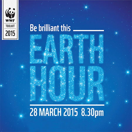 earth hour 2015 on 28 march south africa