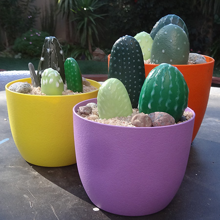 Painted pebbles for colourful display of cacti
