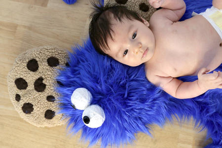 Use super-soft plush fabric to make  cookie monster rug