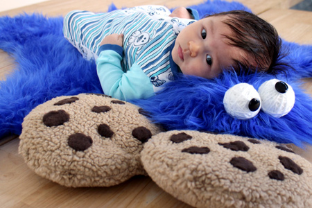 cookie monster rug and cookie pillows