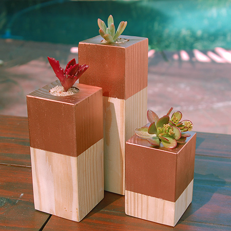 use these same blocks as plant holders. After coating the tops with several layers of spray paint that provides basic protection, pop in some succulents or air plants