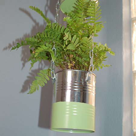Coffee cans become an attractive plant holder