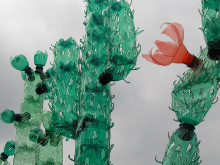 colourful cacti made from recycled pet plastic bottles