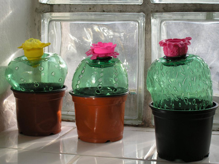 colouorful cacti from recycled pet plastic bottles