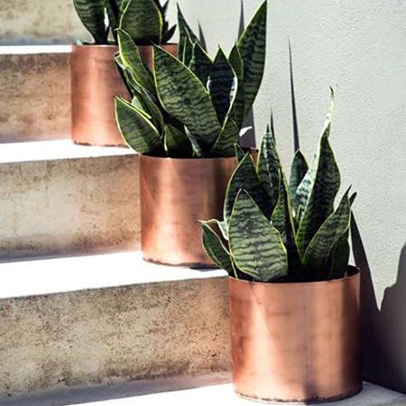 Tins cans are re-purposed into metallic containers with a coat or two of copper spray paint