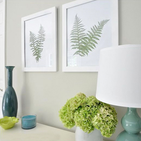 Ferns are a popular houseplant, with their fresh green fronds and delicate, lacy stems. With this project you can bring ferns indoors to create a lovely feature for a wall, and it's so easy!