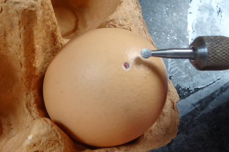 For Easter projects, use the engraving bit to pierce eggs to make them easier to blow out.