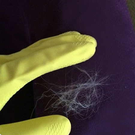 remove pet hair from furniture with a pair of rubber gloves