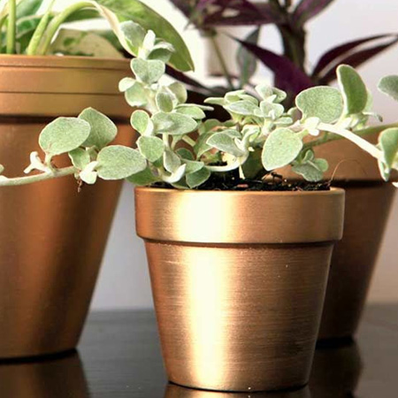 HOME-DZINE | Make a statement with copper flower pots - spray the entire pot or add interesting patterns.