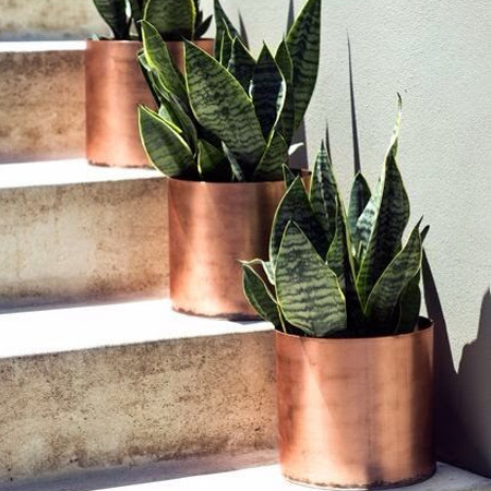 HOME-DZINE | Even your outdoor spaces will love copper. Use it on aluminium, plastic or clay pots to add some glamour to a patio or deck.