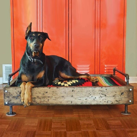 Why pay a fortune for a dog bed when you can make your own using pallet wood and galvanised pipe and fittings. Make a colourful custom cushion using fabric and filling that can easily be washed.