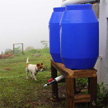 With most of the country in the grip of a drought, here's a way to collect water by making a DIY rainwater harvesting system.