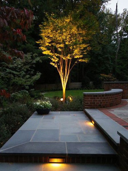 HOME-DZINE - Garden Lighting - Use low-voltage or solar lights to accentuate areas under pergolas, secluded benches or pretty arches, or highlight the structural shape of an elegant tree. 