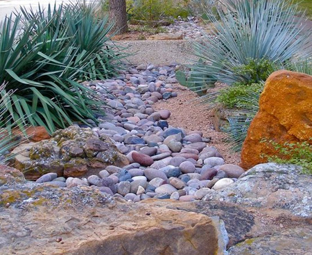 HOME-DZINE | Water Wise Garden - There is a misconception that water wise gardens are bland and only planted with indigenous plants. But you are not limited to aloes, cactii and succulents - of which there are many colourful and interesting varieties.