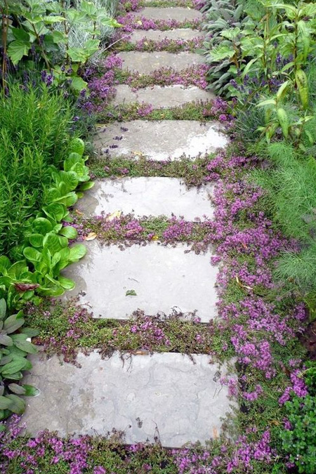  HOME-DZINE | Water Wise Garden - Shop for varieties that are fairly drough-resistant and can withstand light foot traffic, when using ground cover with stepping stones to create a path or walkway.