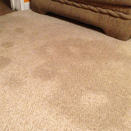 remove old carpet stains