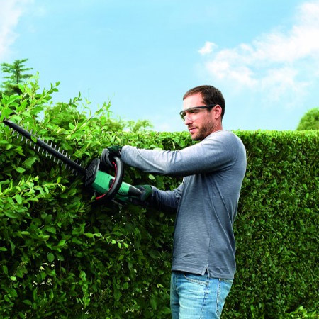 guide to trimming garden hedges