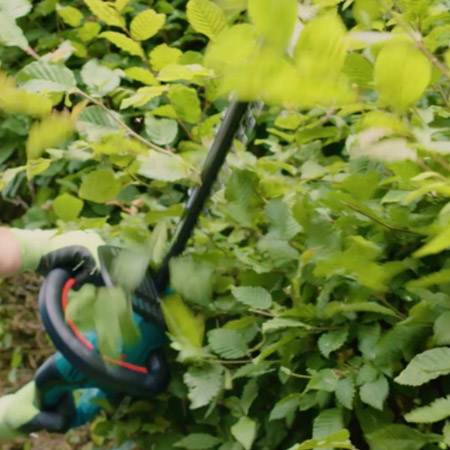 trim back the hedge for a straight edge