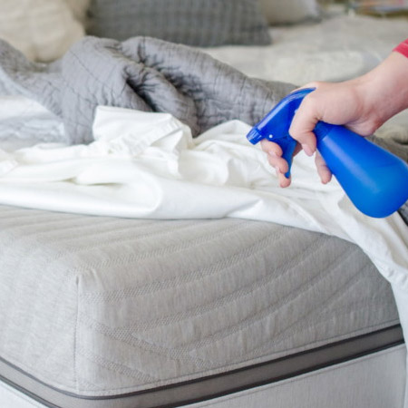 rubbing alcohol Keep Bed Bugs Away