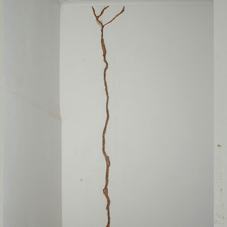 how to fix cracks in walls