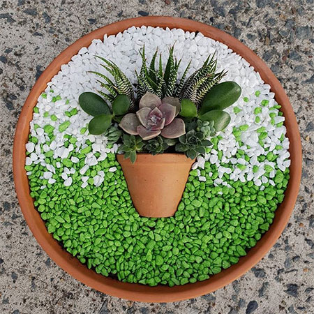 minature succulent gardens in a pot