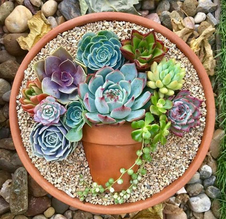 succulent pot in a pot designs