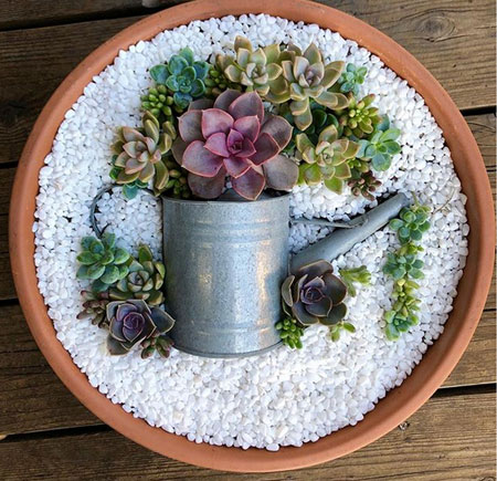 instagram pot in a pot succulents