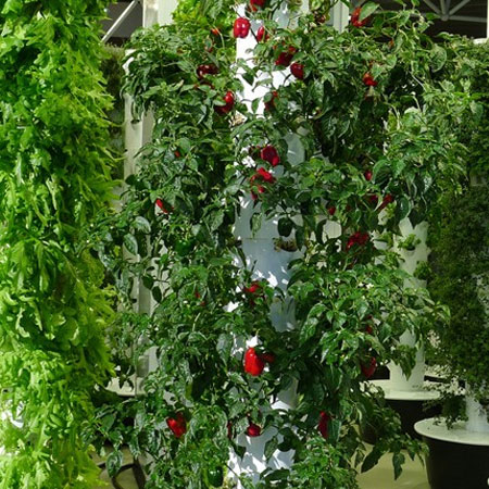 tower gardens for vegetables