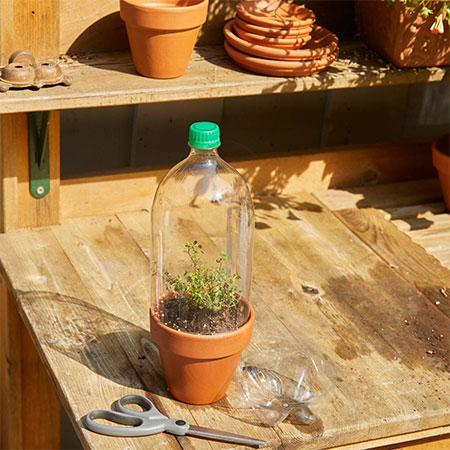 recycle plastic bottles for use in garden