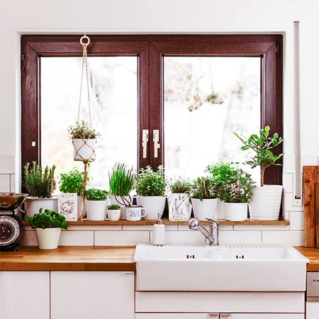 Herbs to Grow in a Sunny Kitchen Window