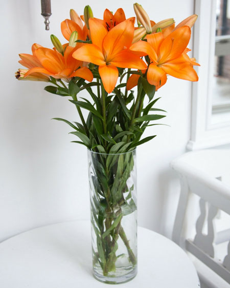 tall vase for long stemmed flowers