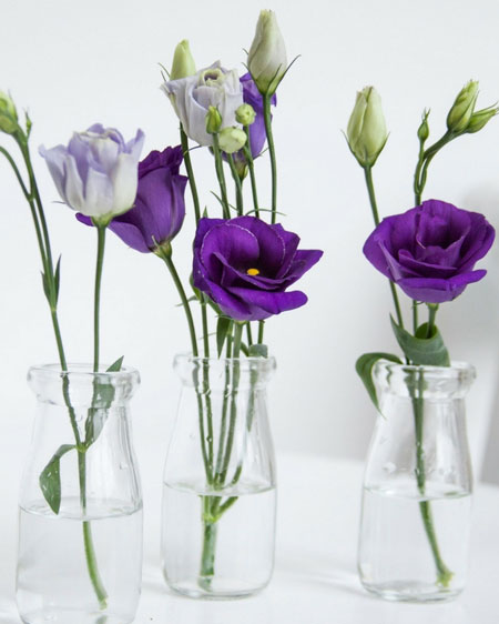 bud vases for single flowers or buds
