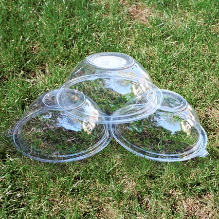 Make a Bird Feeder using Plastic Salad Containers