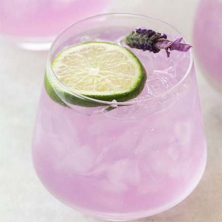 lavender gin cocktails