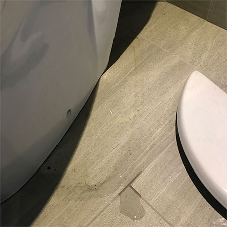 common leaks in home plumbing