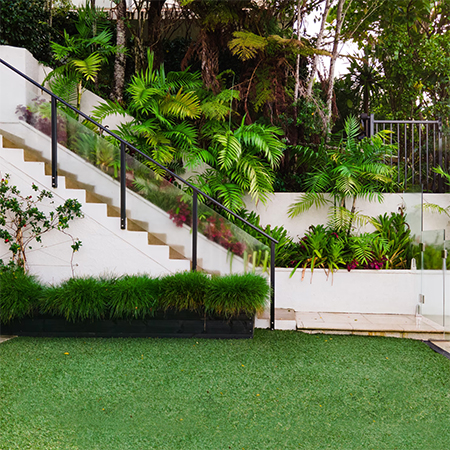 Turn Your Lawn into a Lush Green Carpet