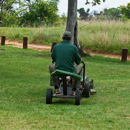 Riding Lawn Mowers: Everything You Need to Know